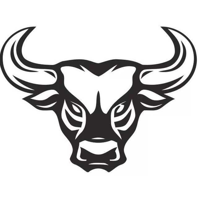 Stock Thunder
